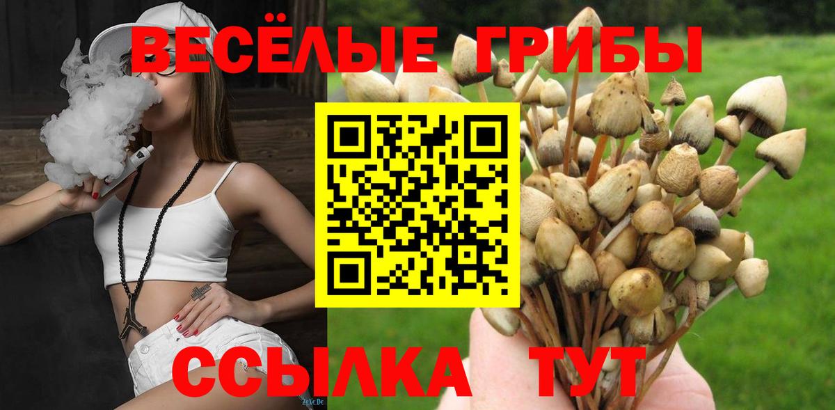 Галлюциногенные грибы мицелий  Галлюциногенные грибы GOLDEN TEACHER  Учалы  Вход с VPN 